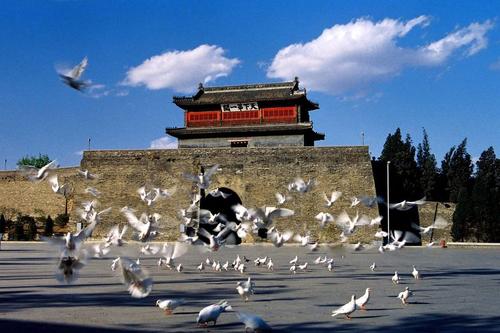 山海關區創建國家全域旅游示范區